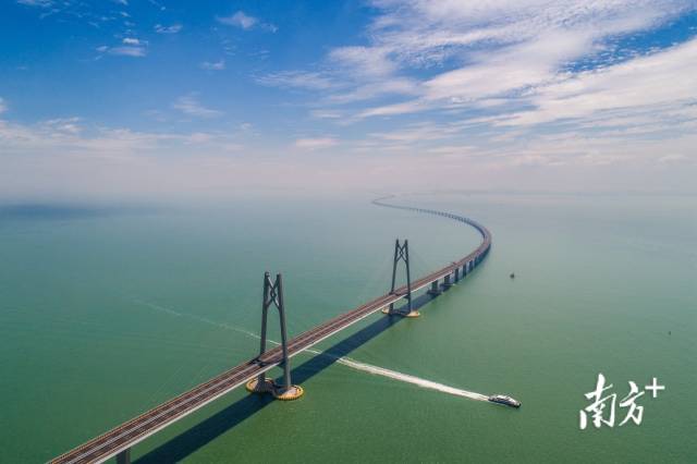 港珠澳大橋。南方日?qǐng)?bào)記者 張由瓊 攝