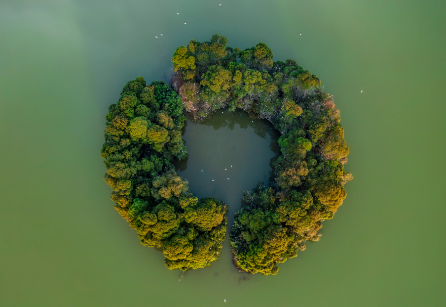 佛山三水云東海國家濕地公園坐落于珠三角腹地，總面積超過400公頃，是佛山市國家森林城市建設的重點工程，也是佛山市濕地體系中“三江匯流”保育區(qū)的濕地生態(tài)景觀核心和珠三角地區(qū)鳥類遷徙的重要節(jié)點。湖水瀲滟、植被茂盛，月亮湖湖心環(huán)形小島吸引了上千只鷺鳥在此集聚棲息。圖為佛山三水云東海國家濕地公園。