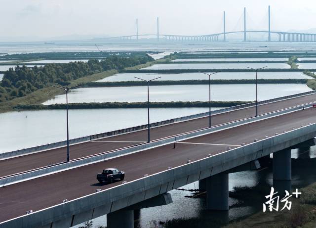 9月27日，黃茅海跨海通道上，馬倩倩正在開車前往施工地點(diǎn)。