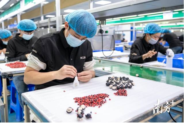 東莞企業(yè)沃工場正馬不停蹄地制作《哪吒2》衍生品。