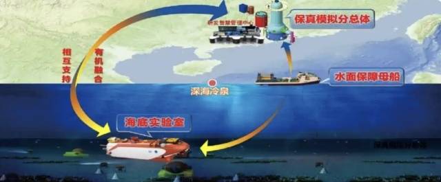 冷泉生態(tài)系統(tǒng)研究裝置三個分總體布局。資料圖片