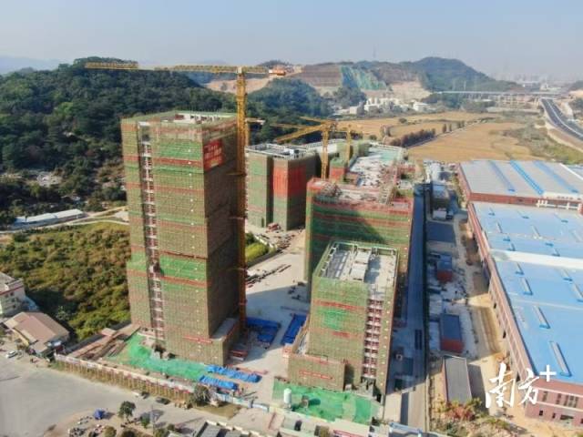 位于中山市南朗街道華照村的西灣清潔能源產(chǎn)業(yè)園。梁詩婷 攝