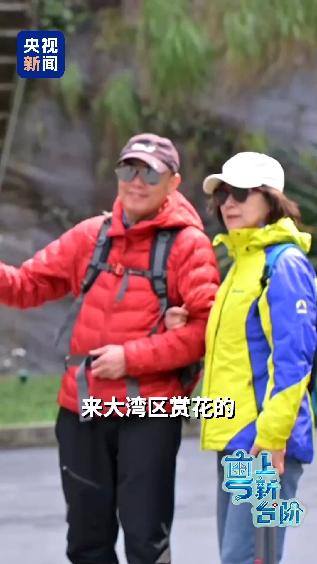 一趟由北向南開行的列車同時“驚動”了京津冀和粵港澳大灣區(qū)兩大經(jīng)濟(jì)圈。