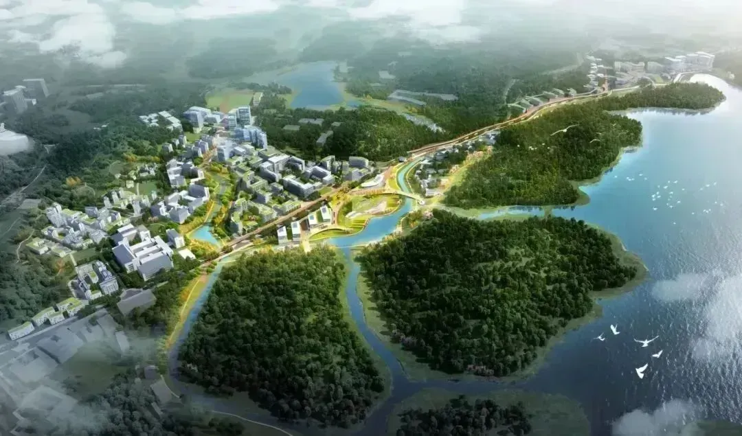 西麗湖國際科教城（規(guī)劃效果圖）。圖源：項(xiàng)目設(shè)計單位